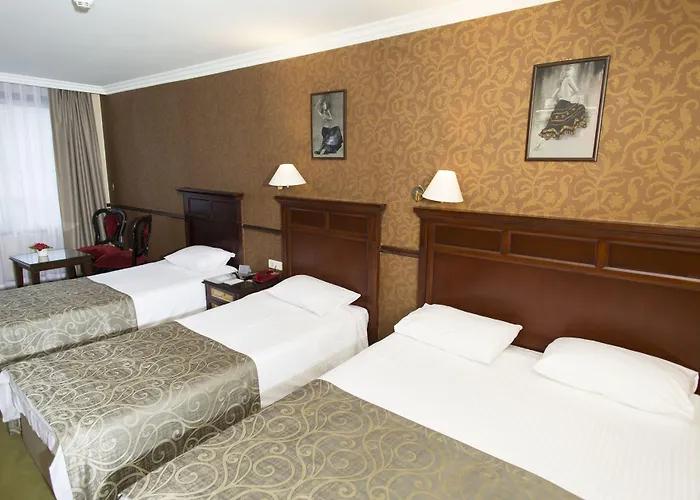 ホテル トプカピ インター